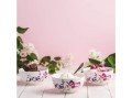 salaterka-garden-13-cm-ambition.jpg