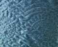 e36095fa4d9c8d3e58f7f574e9bb.jpg
