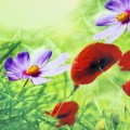 obrus-na-stol-poliestrowy-milano-poppy-zielony-60-x-120-cm_1.jpg