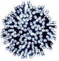 lampki-choinkowe-100-led-8-5m-biale-zimne-zew.jpg