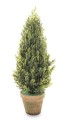Choinka_[186874]_1200.jpg