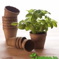 doniczki-torfowe-jiffy-srednica-8-cm-16szt-vilmorin (1).jpg