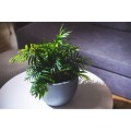 misa-muna-okragla-30cm-antracyt-formplastic (2).jpg