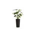 doniczka-lilia-jumper-grafit-srednica-25cm.jpg