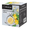 Galicja-Pojemnik-na-cytryne----1-sztuka.jpg