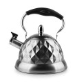 pol_pm_DIAMOND-Czajnik-3-0L-satynowy-COOKINI-22-5x28xh27-5cm-56378_1 (1).jpg