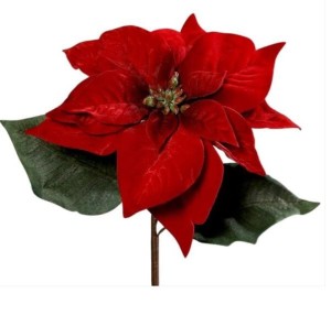 Gwiazda Betlejemska czerwona 50 cm