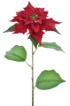 poinsecja-velvet-na-lodydze-72cm-sun763-rubin.jpg
