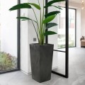 images (15).jpg
