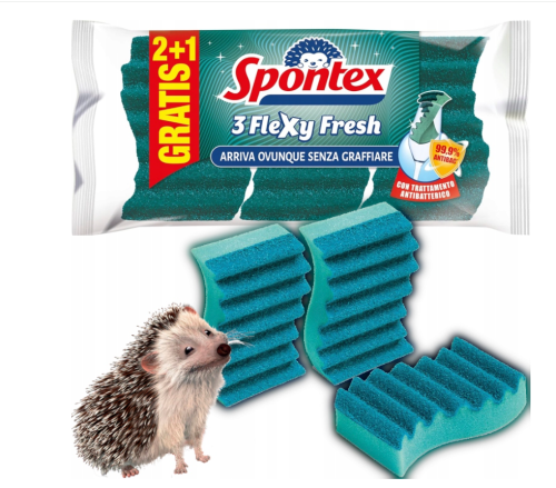 55.PNG