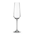 bohemia-amundsen-kieliszek-220ml-szampan-6-szt.jpg